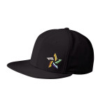 NE402 New Era Original Fit Flat Bill Snapback Cap